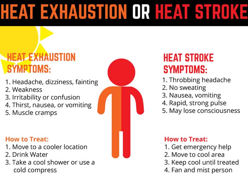 thesis about heat stress